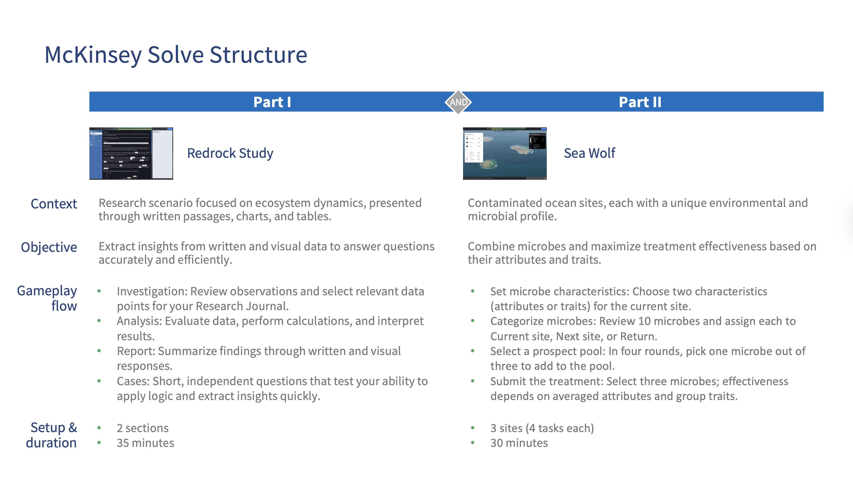 McKinsey Solve 2025 Structure